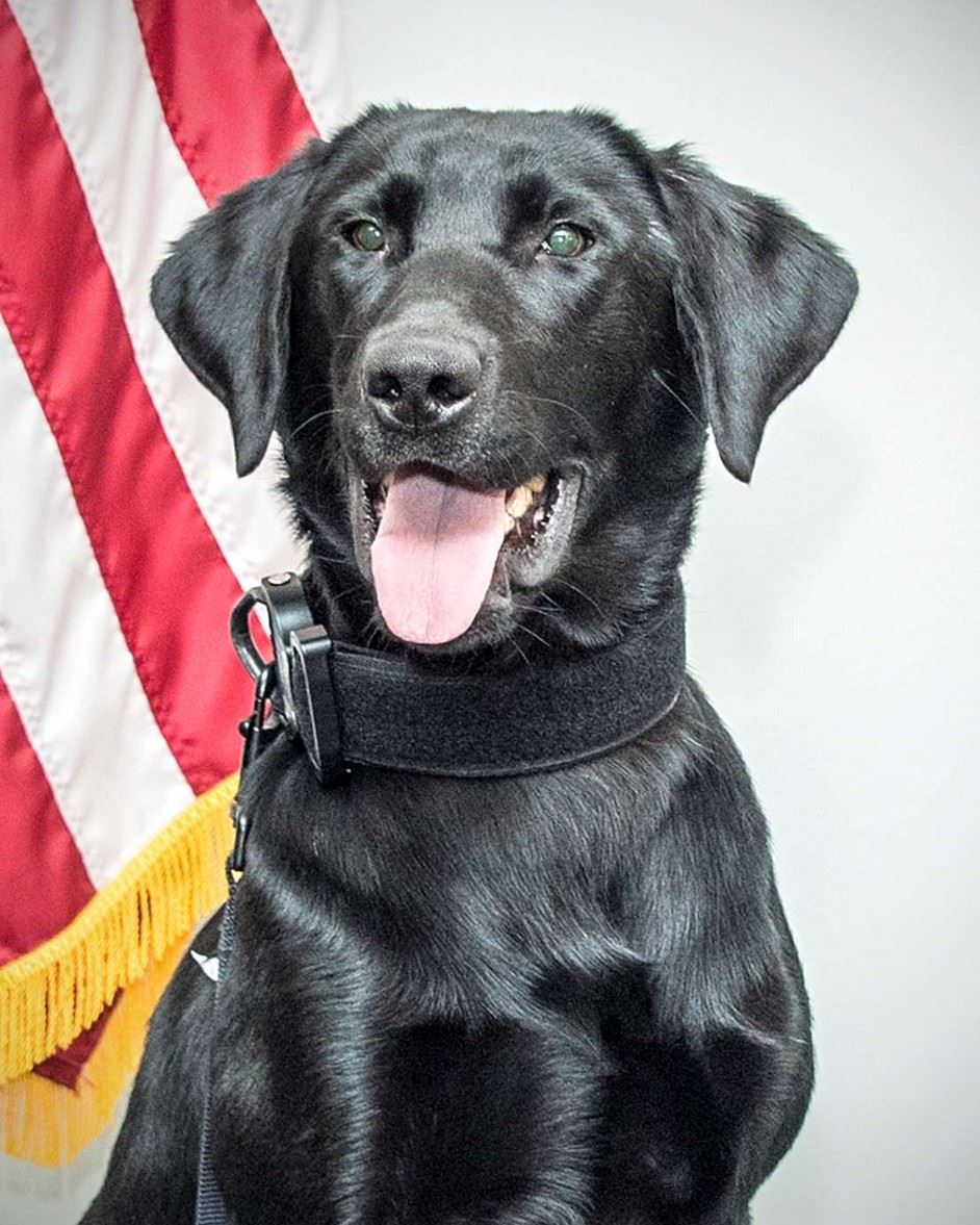 k9