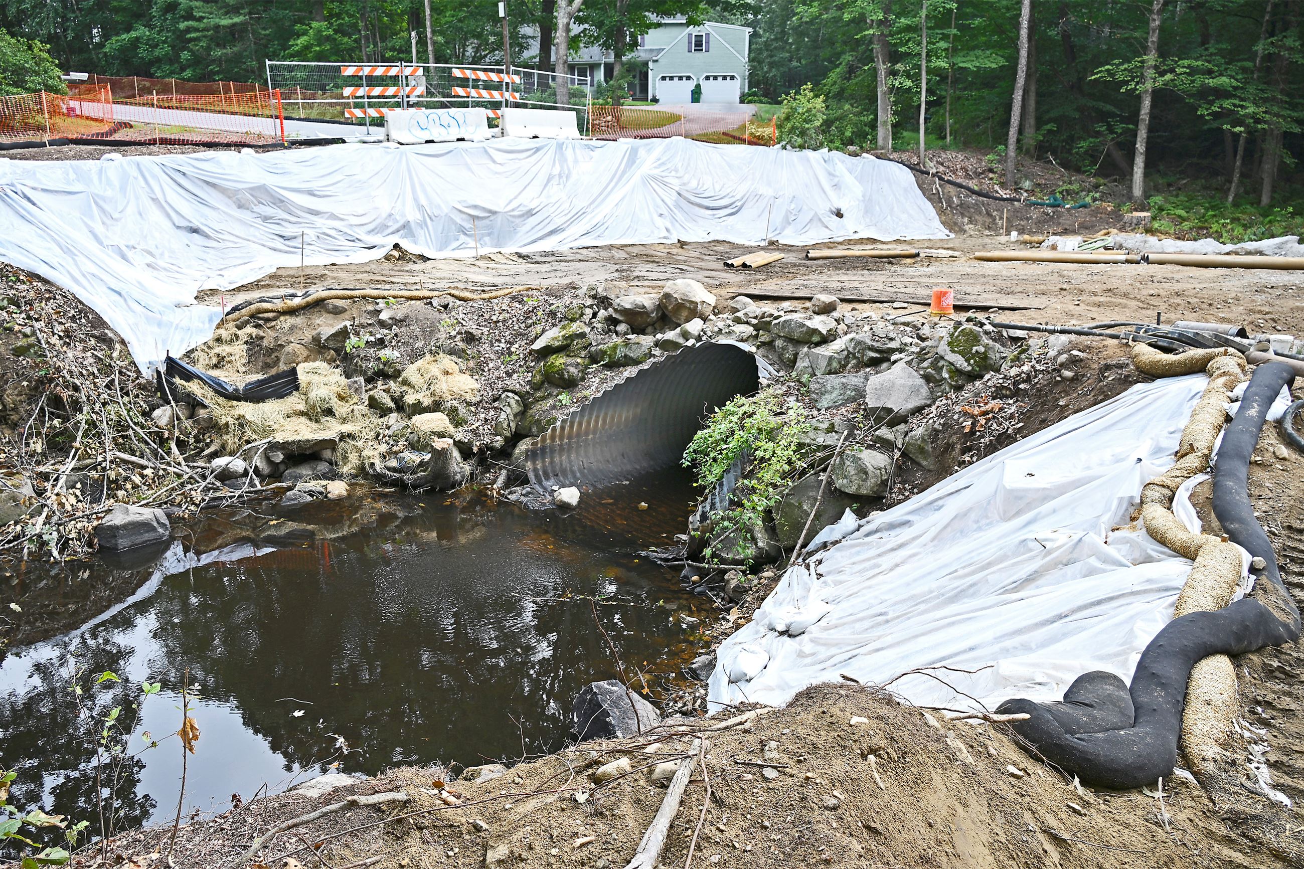 _DSC1879_edited-1-med7 EricAndersonZPhoto 7-27-25