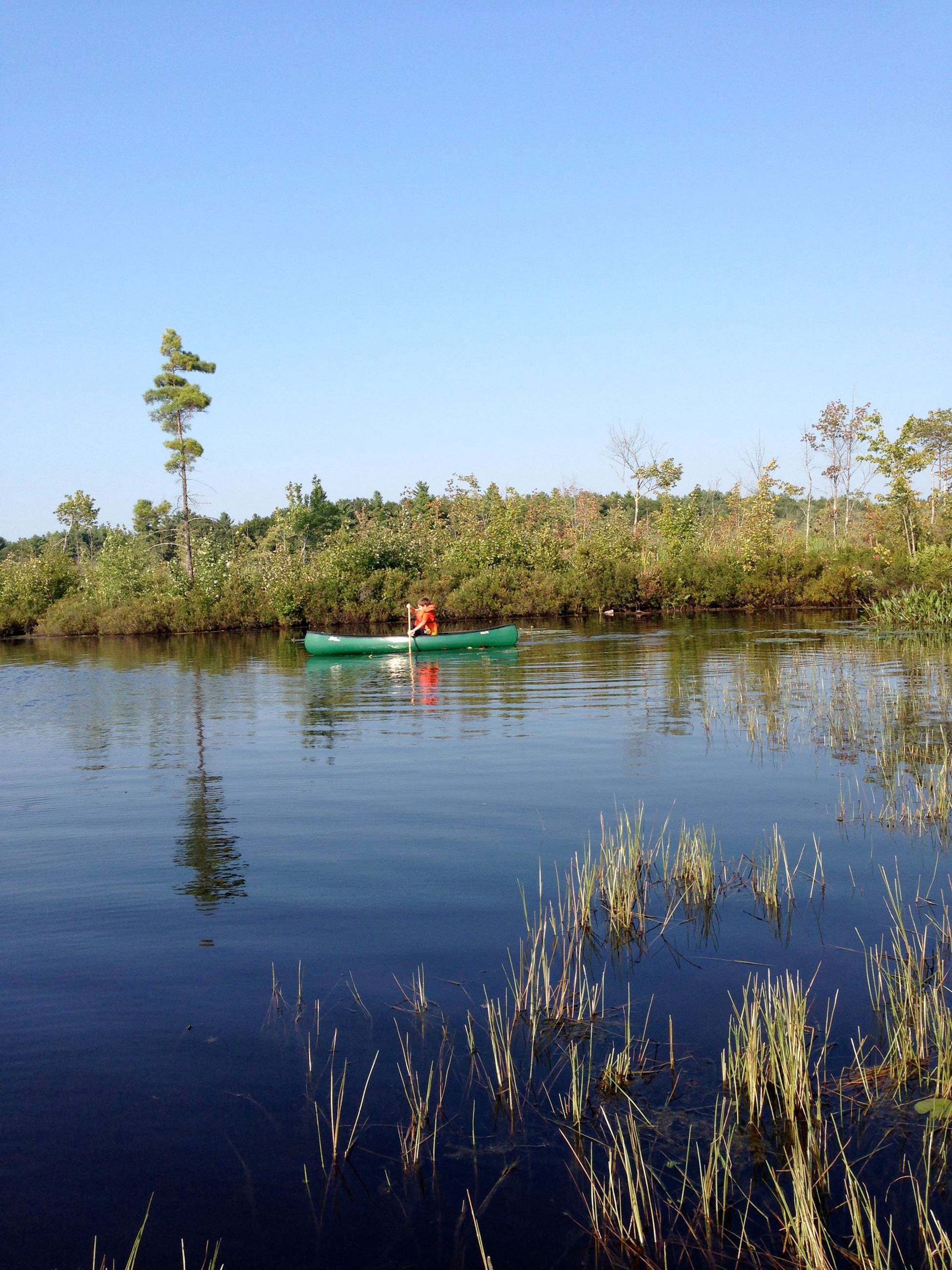 Pond with marshy grass sticking out.  In the distance, a long green canoe with one person sitting in it, wearing a red life vest, paddling.
