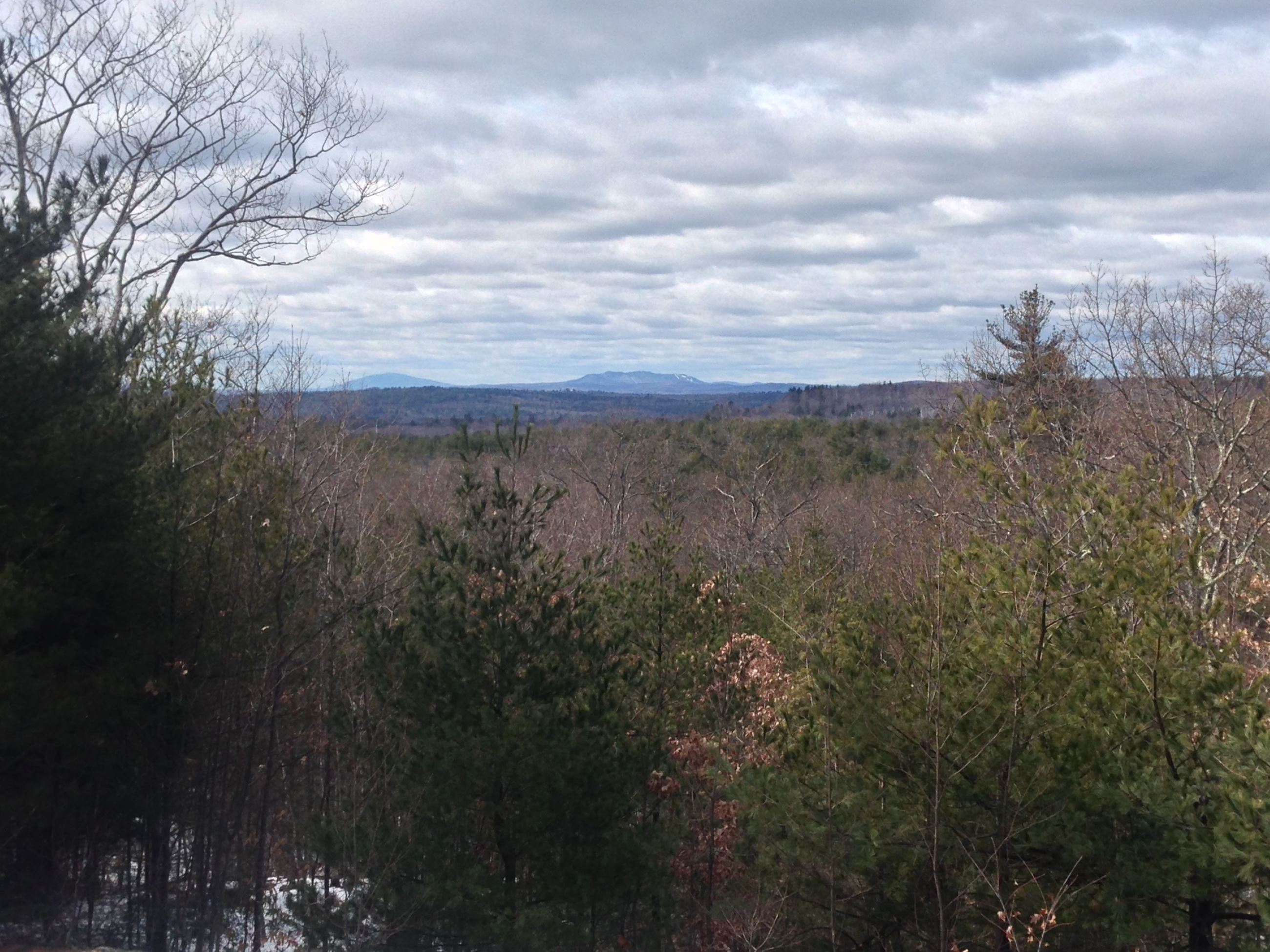 Landscape picture of trees, mountains and clouds.